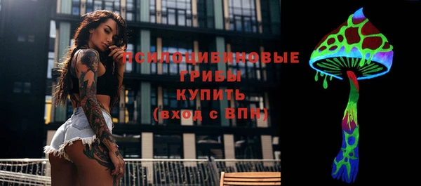 а пвп мука Вяземский