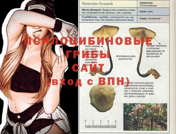 прущая мука Вязники