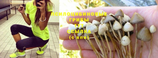прущая мука Вязники